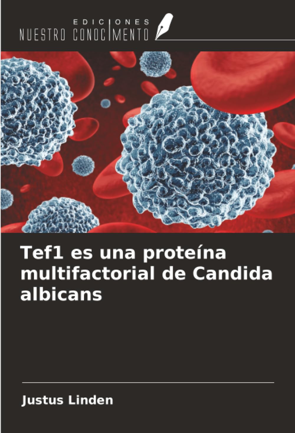 Tef1 es una proteína multifactorial de Candida albicans Natural Sciences