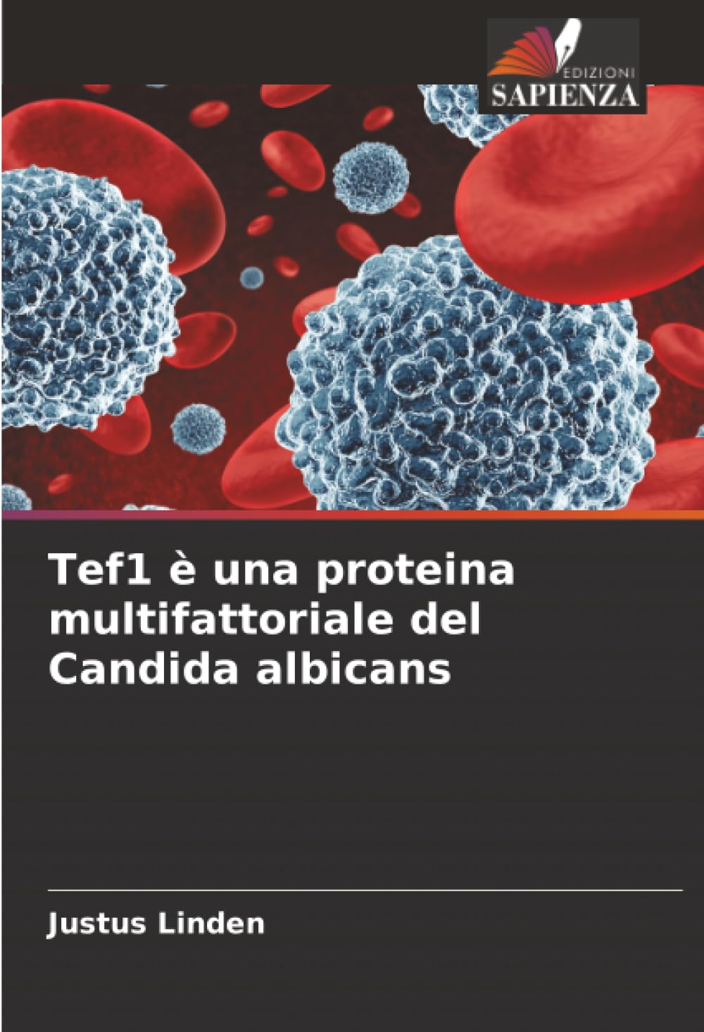 Tef1 è una proteina multifattoriale del Candida albicans Medicine