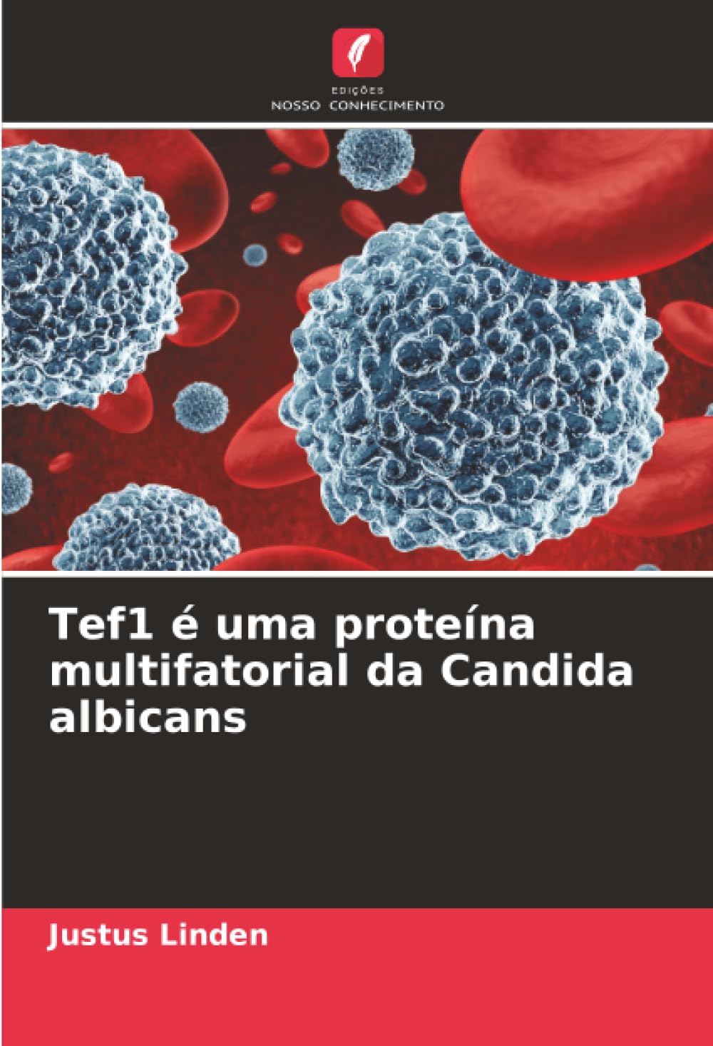 Product Image: Tef1 é uma proteína multifatorial da Candida albicans