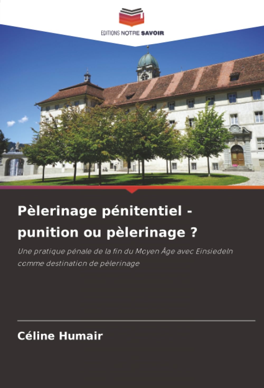 Pèlerinage pénitentiel - punition ou pèlerinage ?: Une pratique pénale de la fin du Moyen Âge avec Einsiedeln comme destination de pèlerinage.DE Natural Sciences