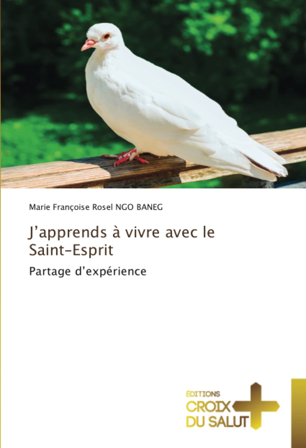 J'apprends à vivre avec le Saint-Esprit book