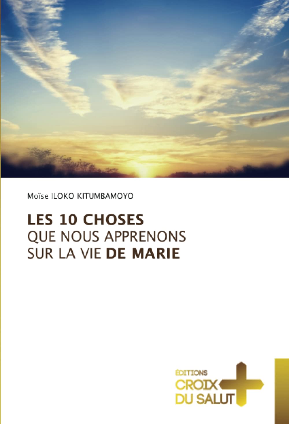 LES 10 CHOSES QUE NOUS APPRENONS SUR LA VIE DE MARIE book