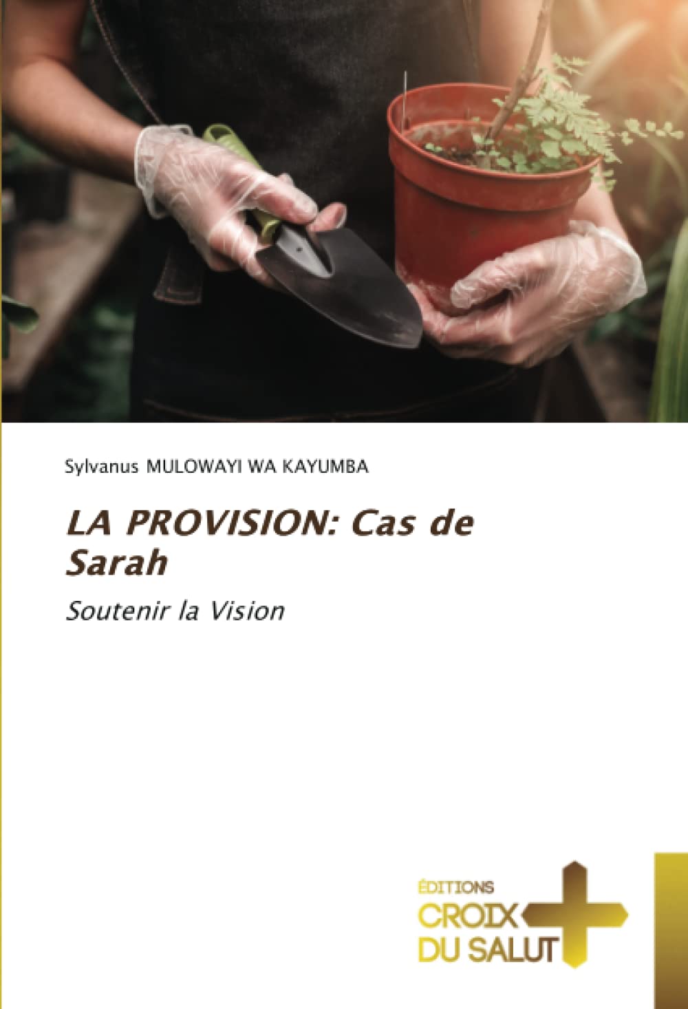 LA PROVISION: Cas de Sarah: Soutenir la Vision book
