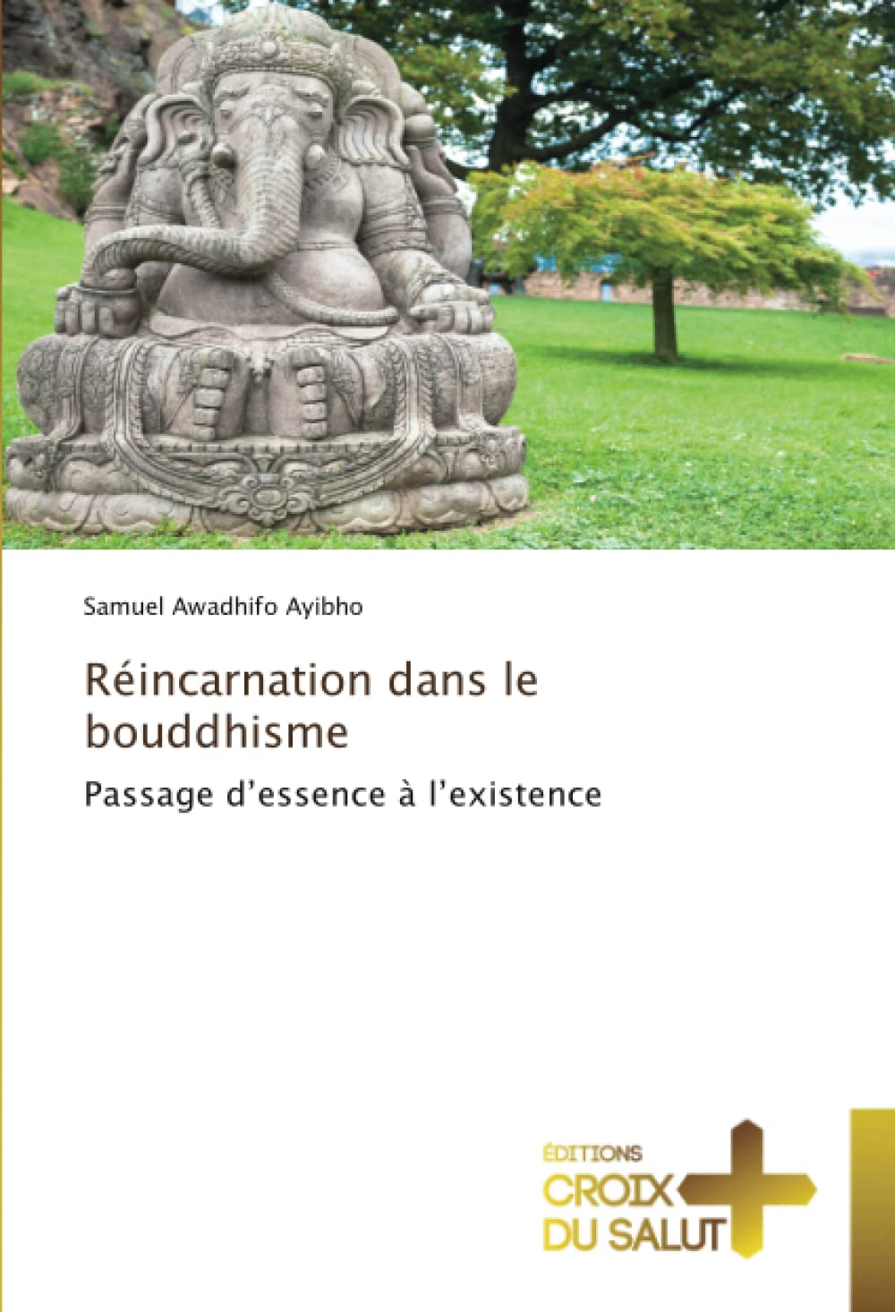 Réincarnation dans le bouddhisme: Passage d’essence à l’existence book