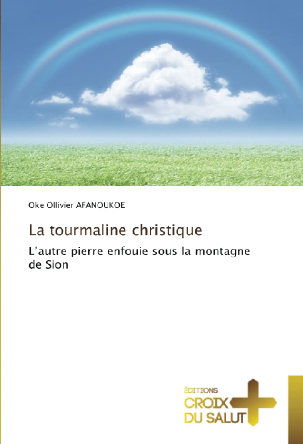 La tourmaline christique: L’autre pierre enfouie sous la montagne de Sion book