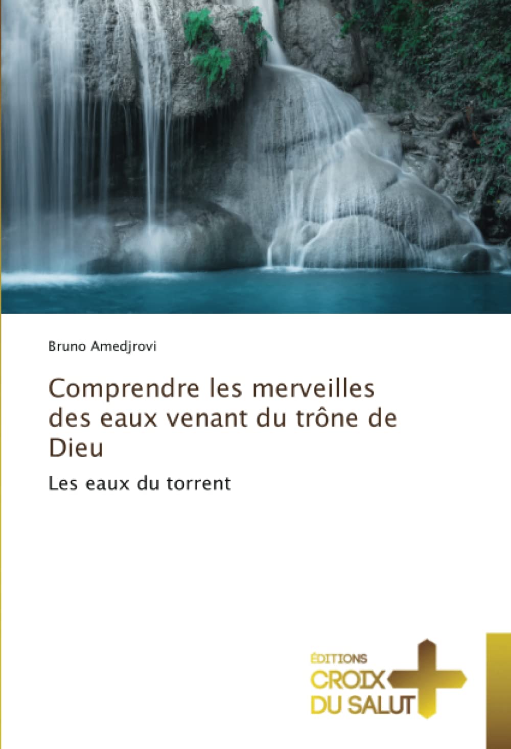Comprendre les merveilles des eaux venant du trône de Dieu: Les eaux du torrent book