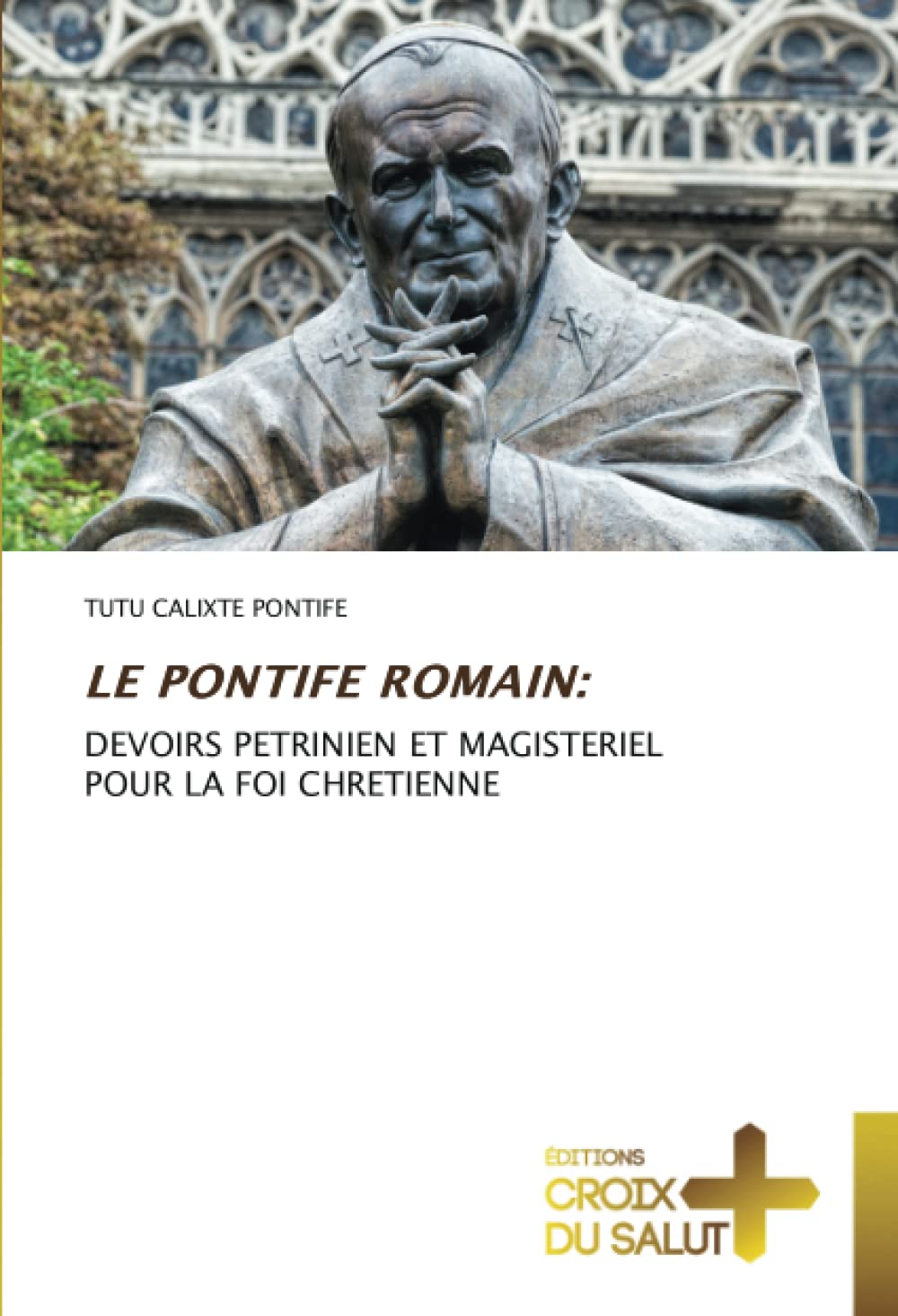LE PONTIFE ROMAIN:: DEVOIRS PETRINIEN ET MAGISTERIEL POUR LA FOI CHRETIENNE book