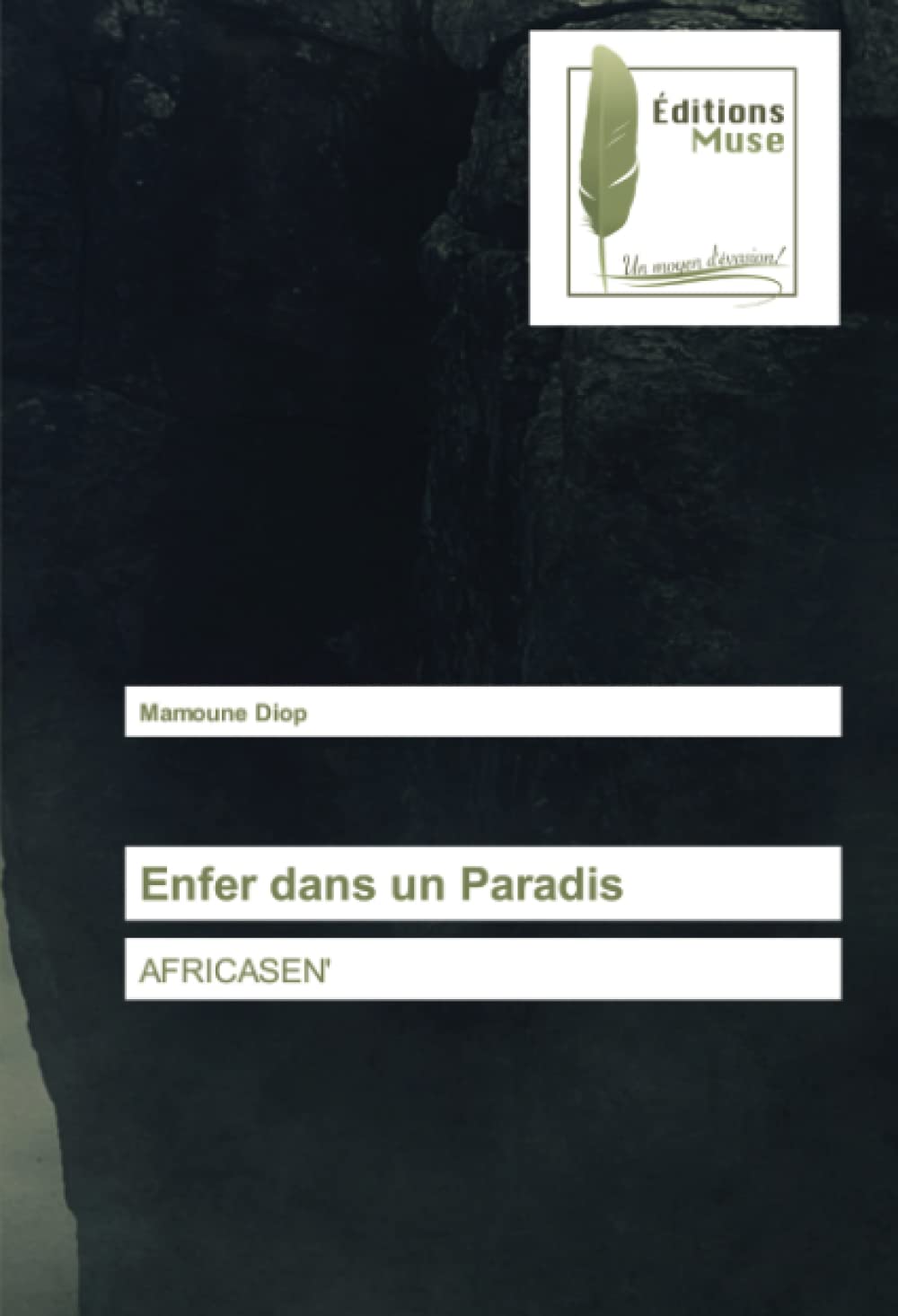 Enfer dans un Paradis: AFRICASEN' book