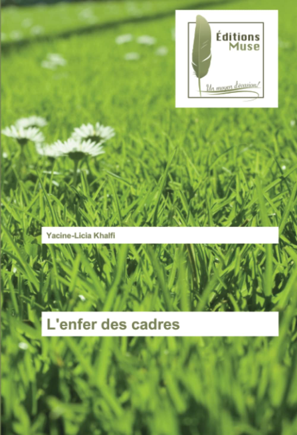 L'enfer des cadres book