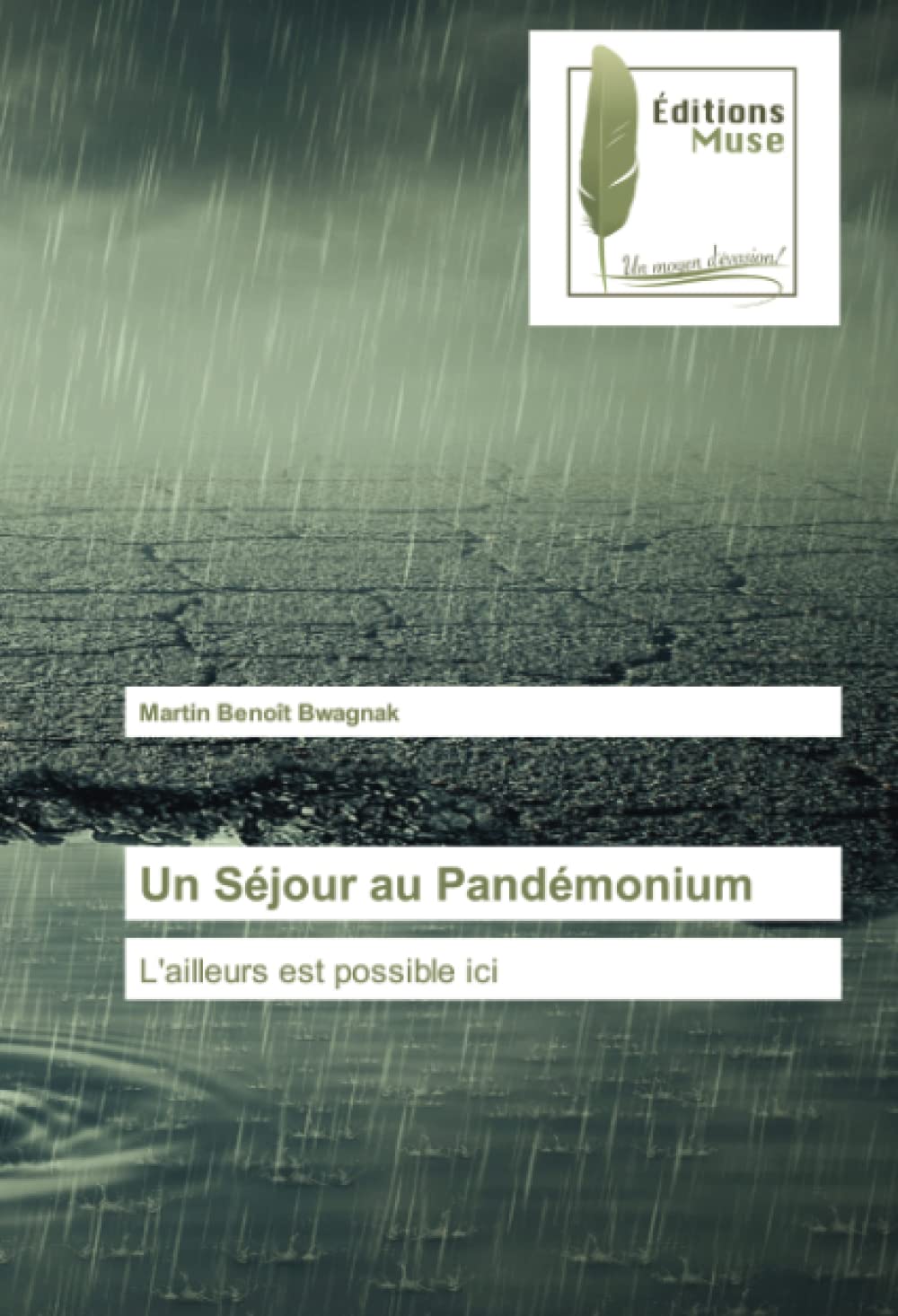 Un Séjour au Pandémonium: L'ailleurs est possible ici book