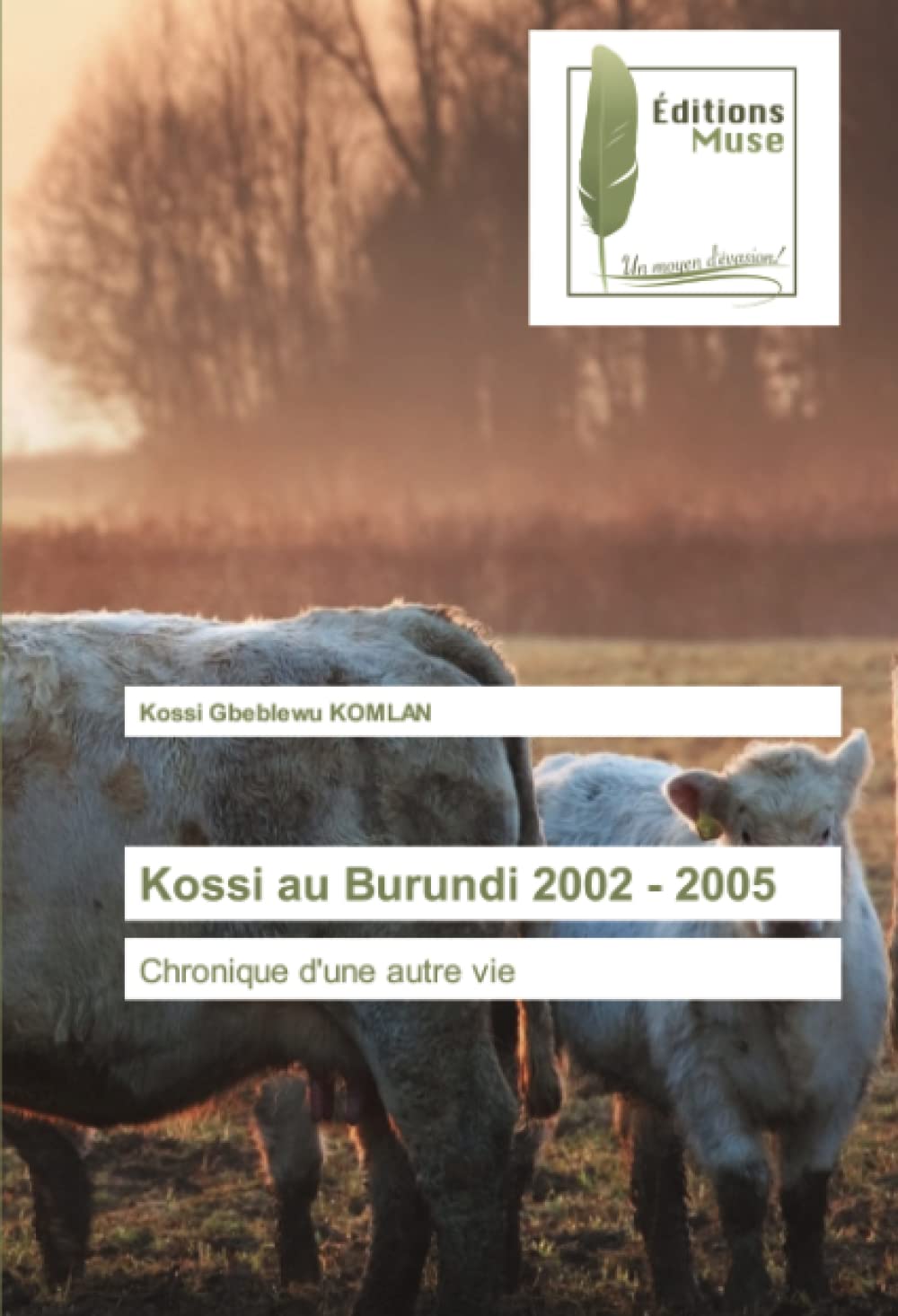 Kossi au Burundi 2002 - 2005: Chronique d'une autre vie book