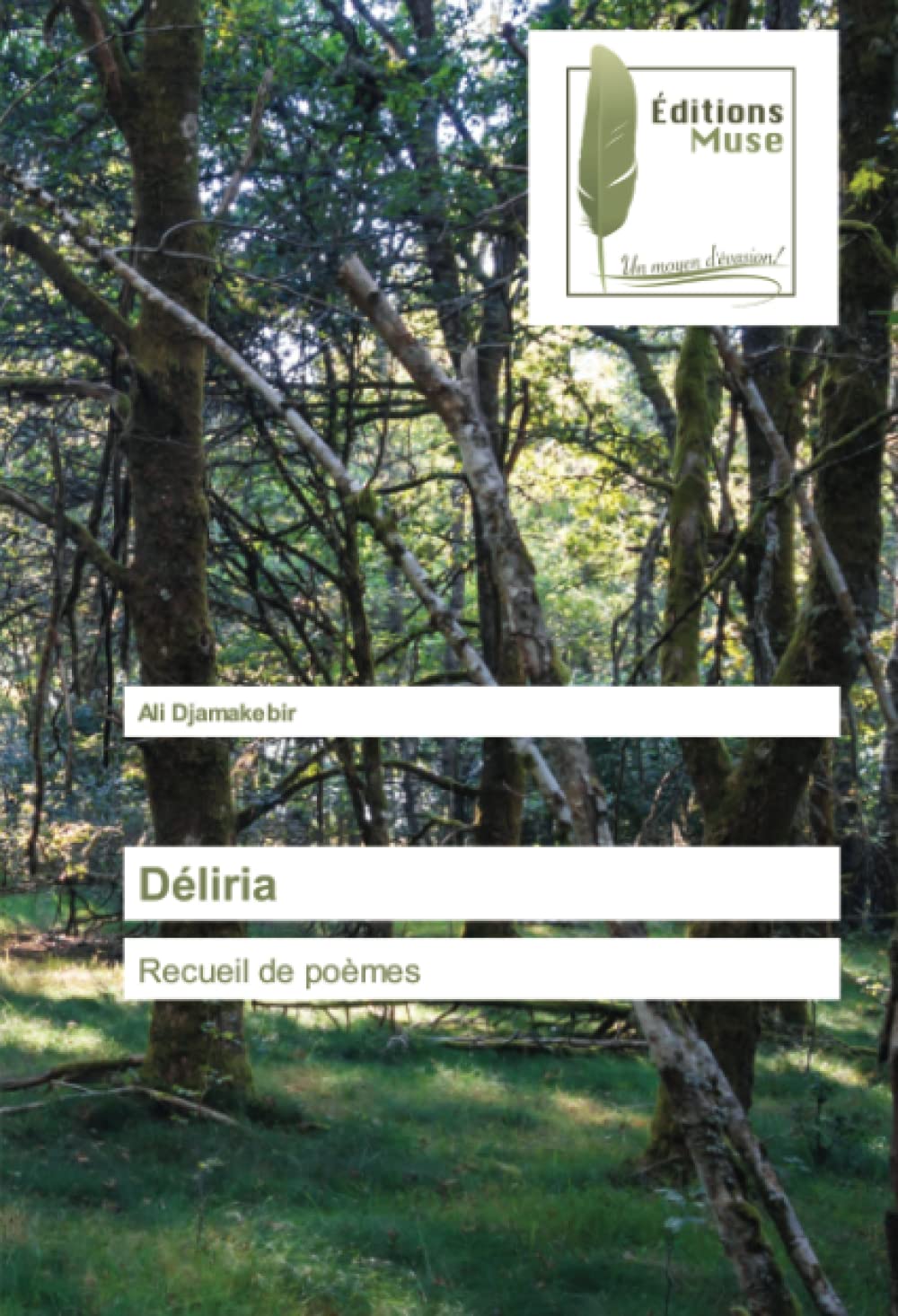 Déliria: Recueil de poèmes book
