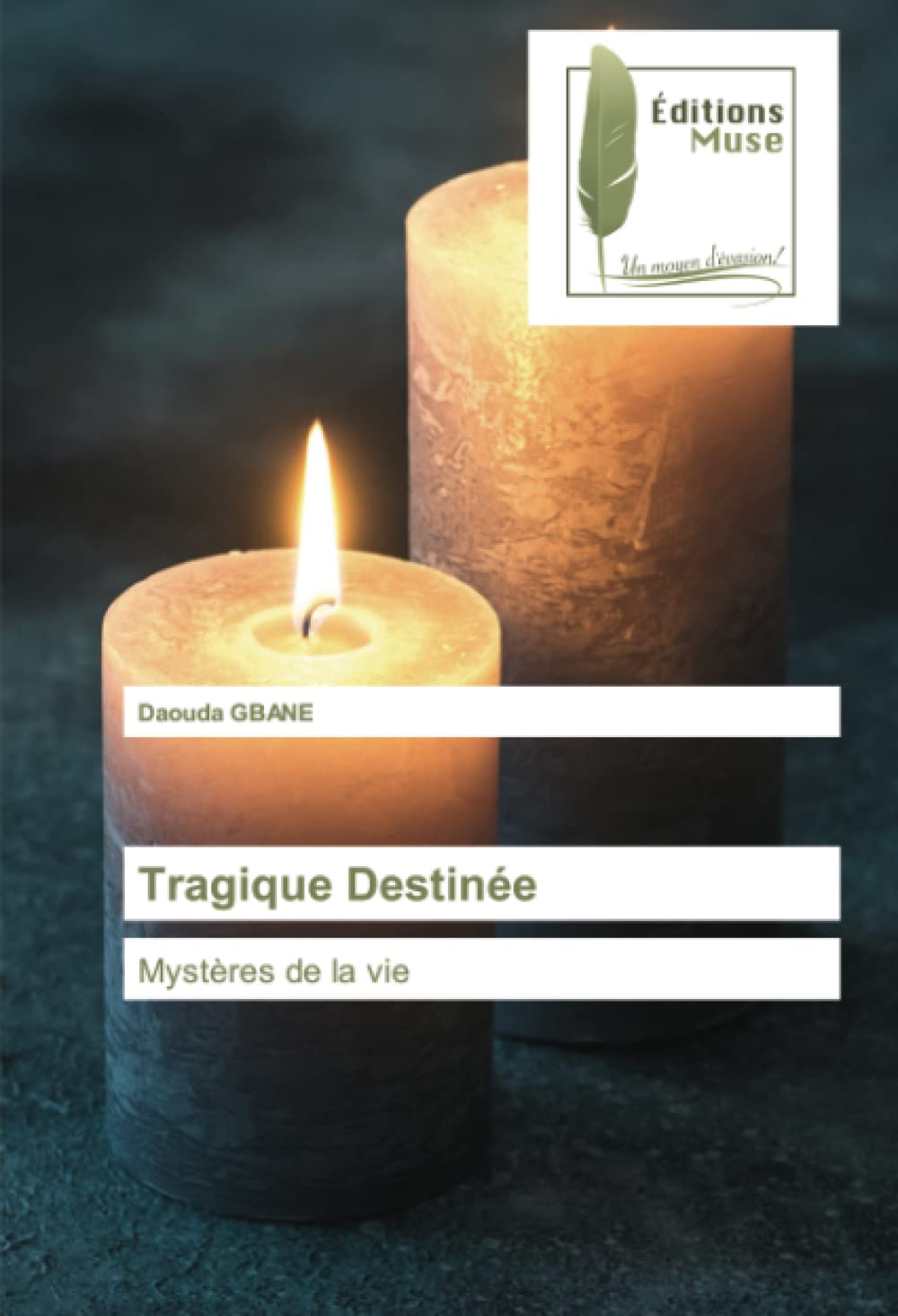 Tragique Destinée: Mystères de la vie book
