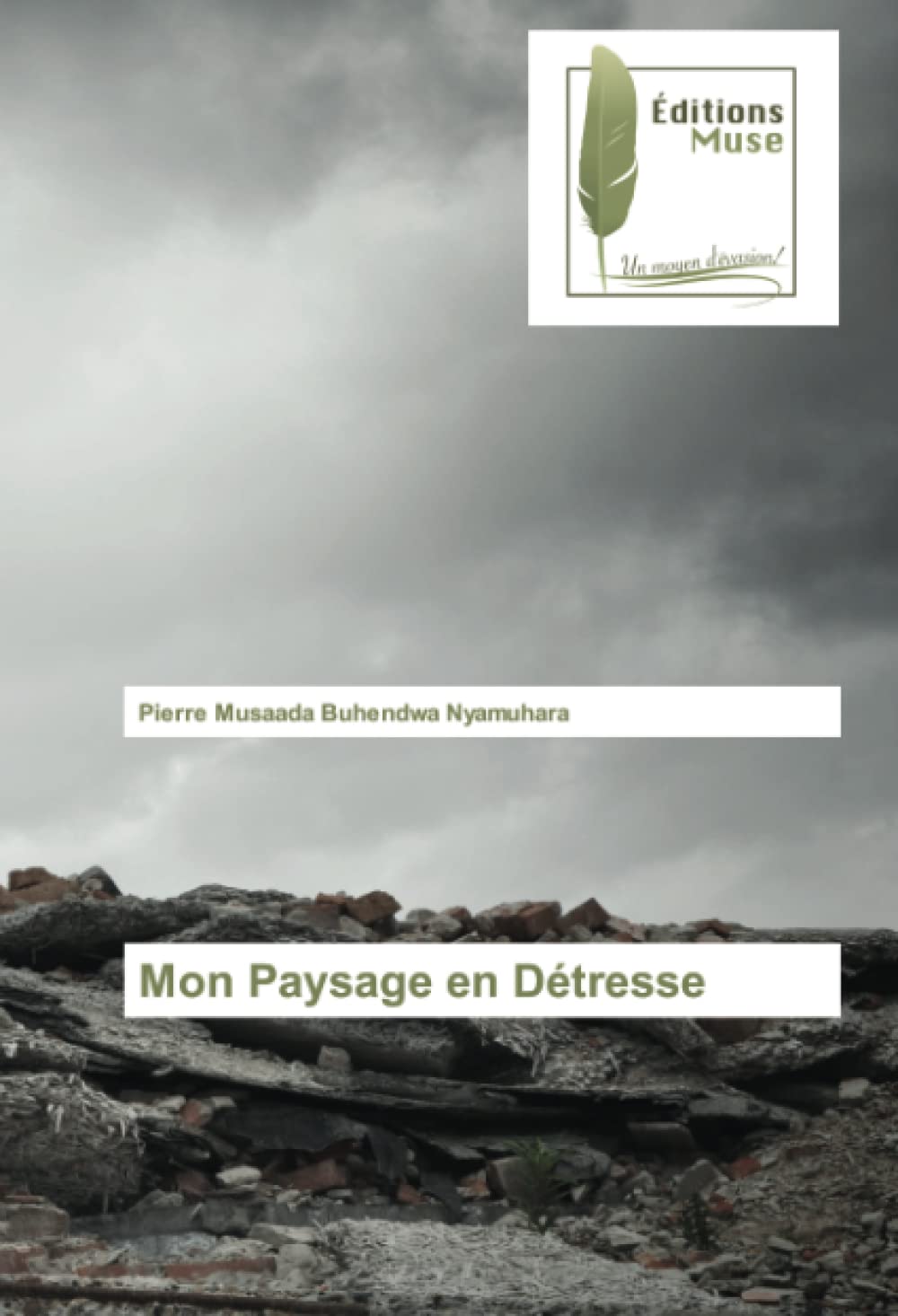 Mon Paysage en Détresse book