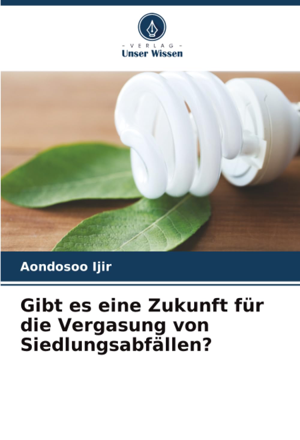 Gibt es eine Zukunft für die Vergasung von Siedlungsabfällen? Business & Technology