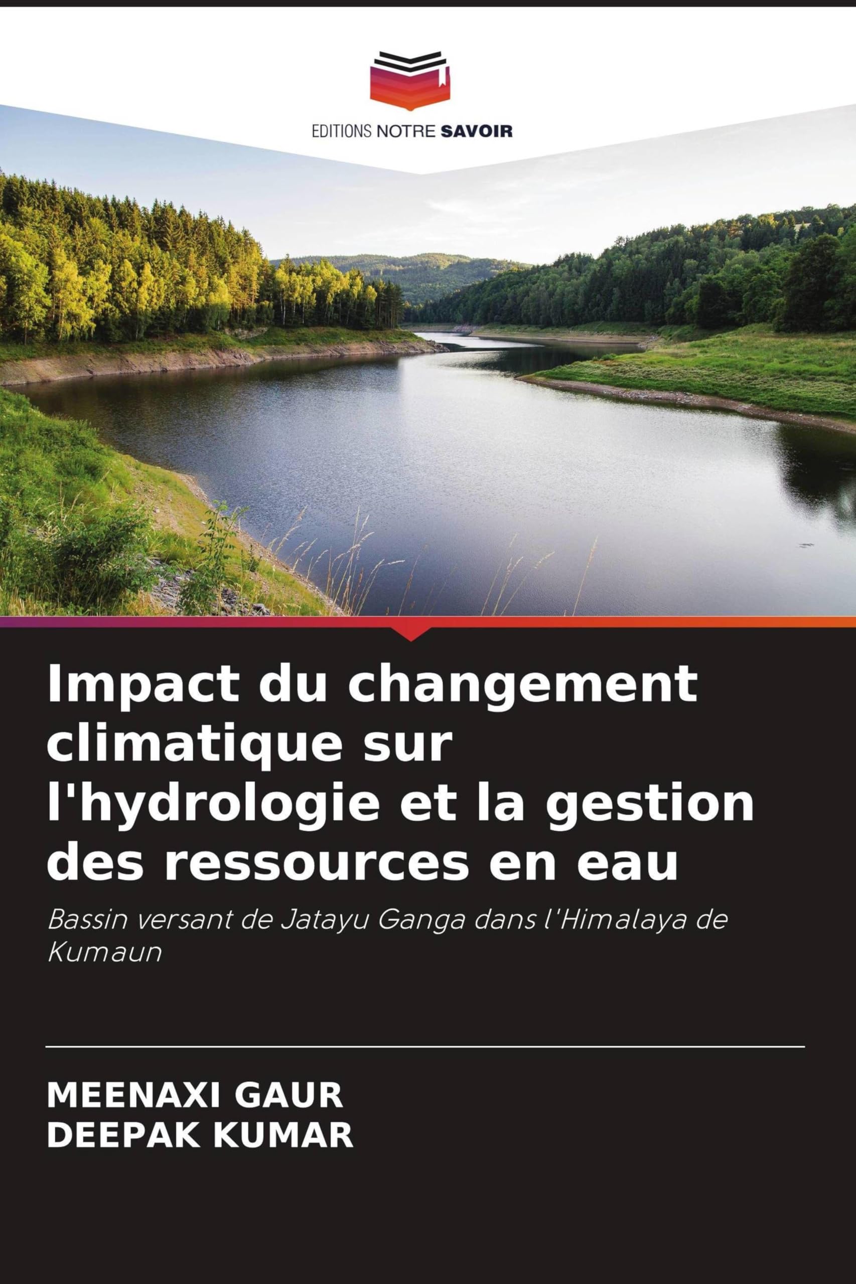 Impact du changement climatique sur l'hydrologie et la gestion des ressources en eau Books