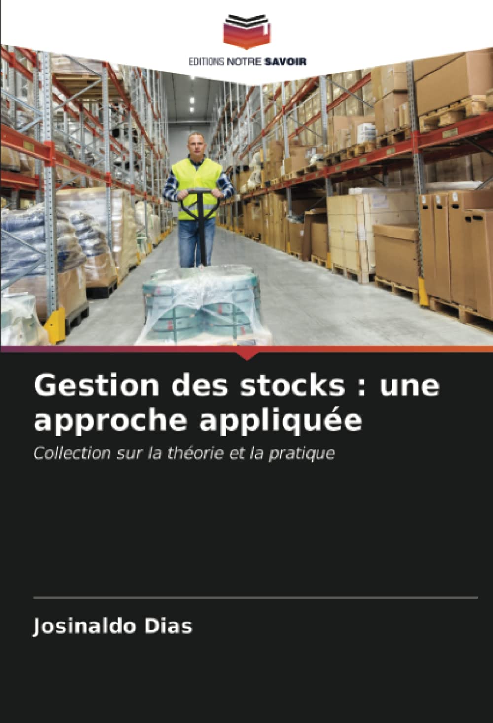 Gestion des stocks : une approche appliquée: Collection sur la théorie et la pratique book