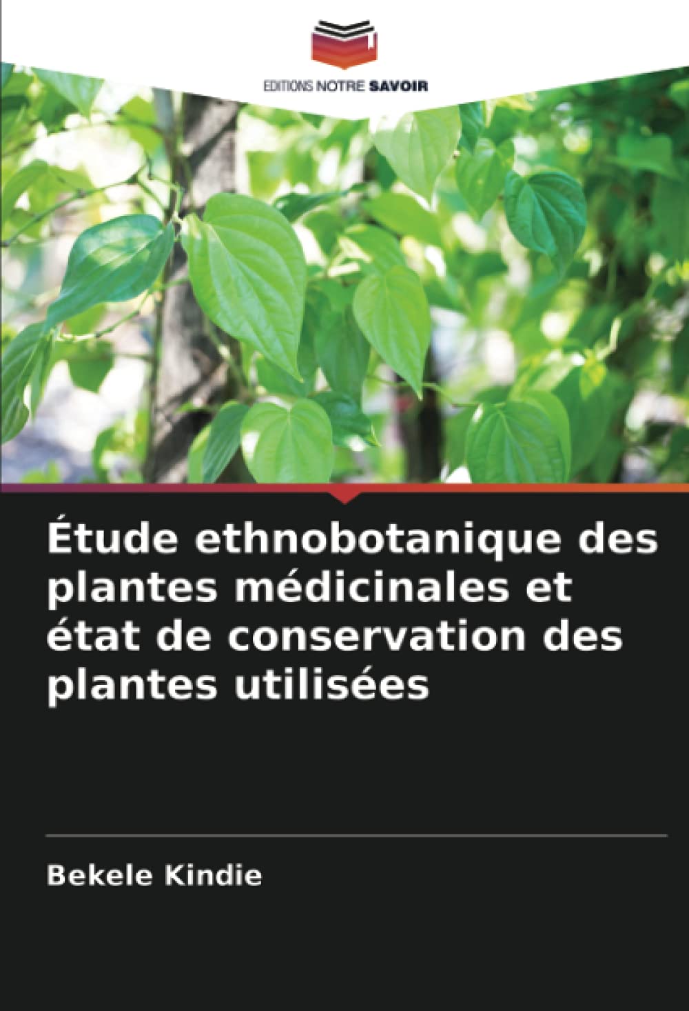 Étude ethnobotanique des plantes médicinales et état de conservation des plantes utilisées book