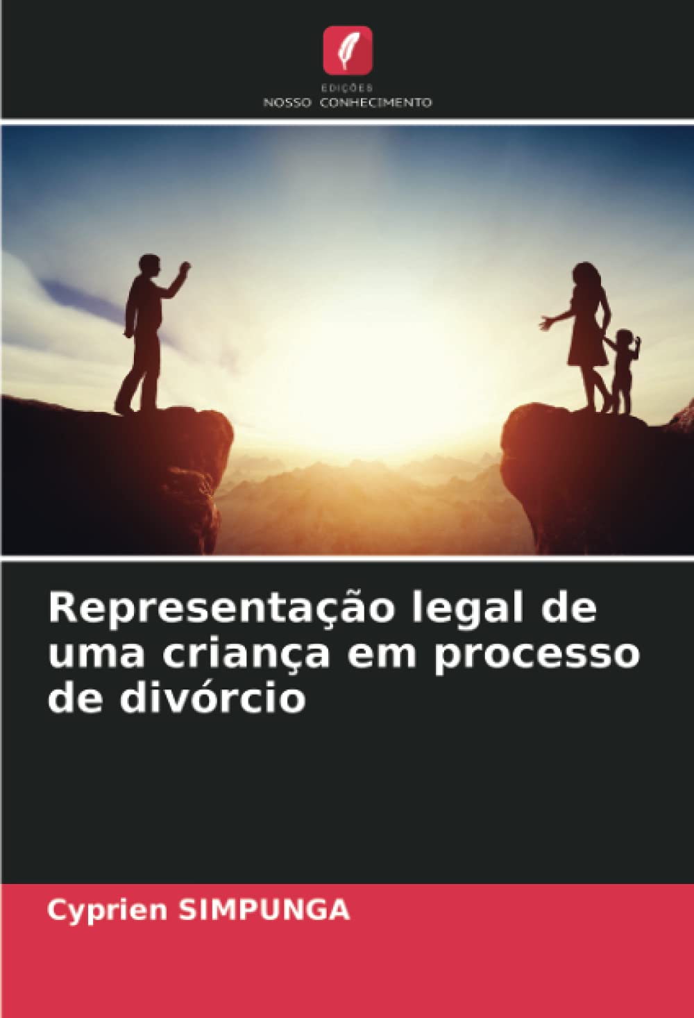 Representação legal de uma criança em processo de divórcio Law