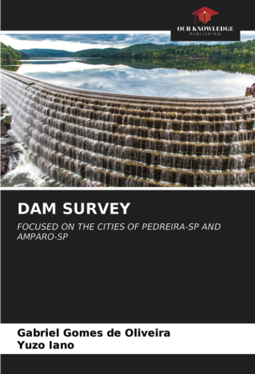 DAM SURVEY: FOCUSED ON THE CITIES OF PEDREIRA-SP AND AMPARO-SP Business & Technology