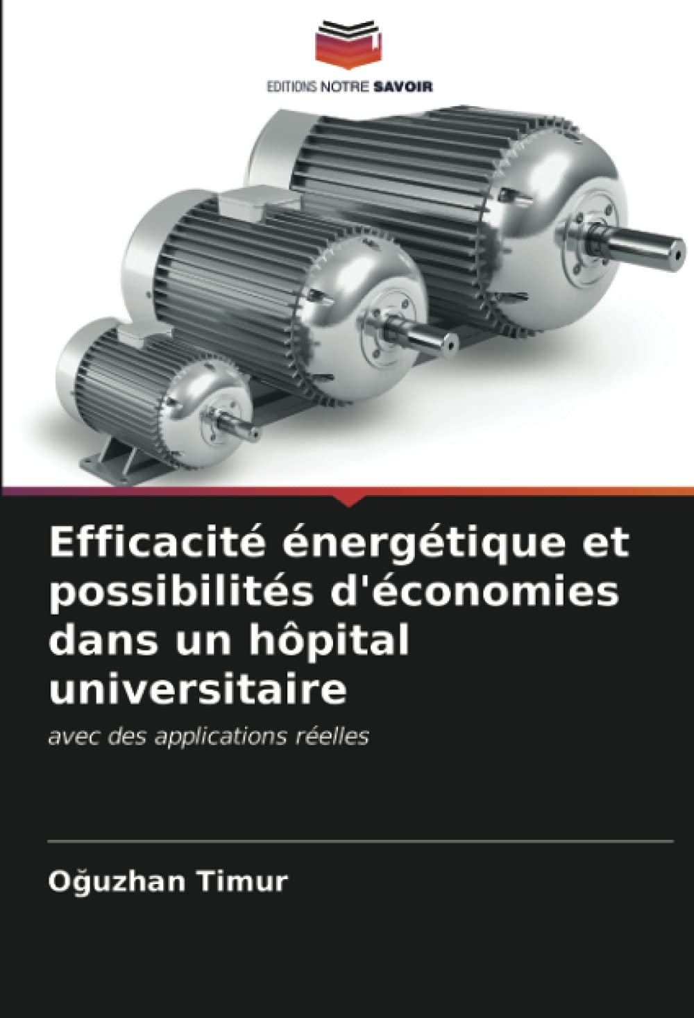 Efficacité énergétique et possibilités d'économies dans un hôpital universitaire: avec des applications réelles book