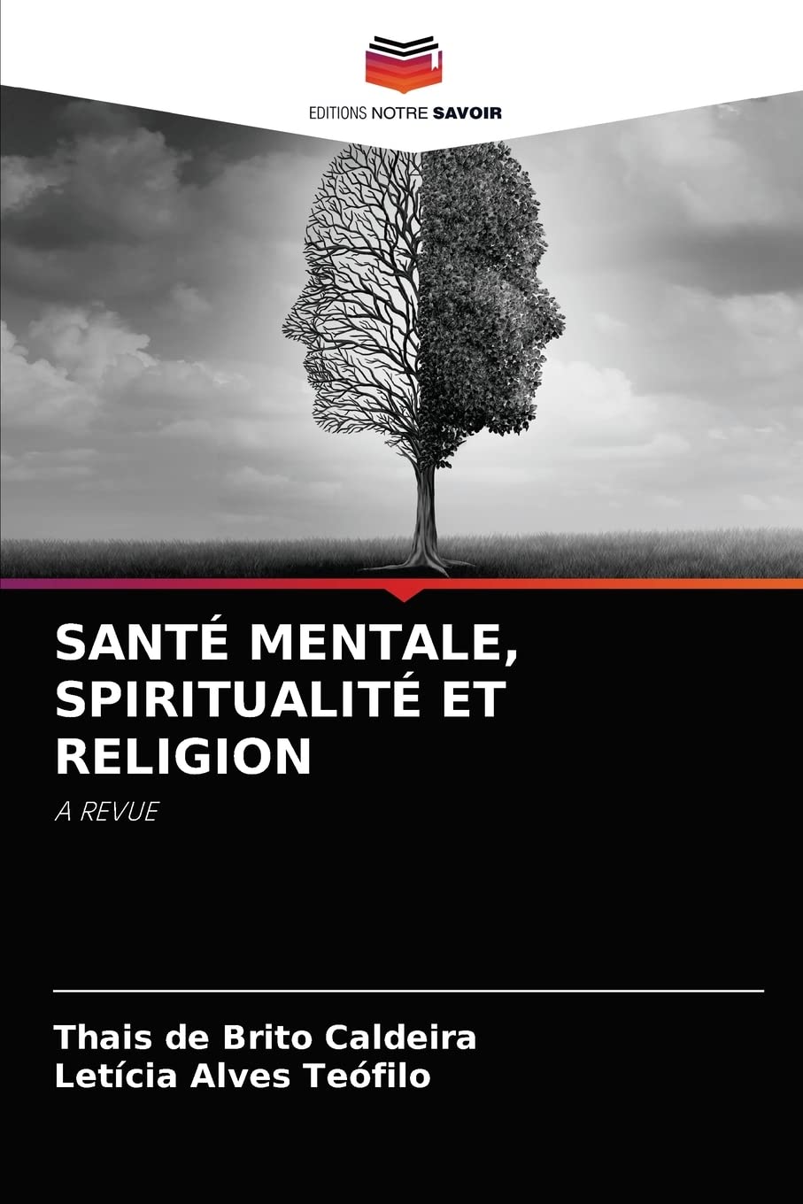 SANTÉ MENTALE, SPIRITUALITÉ ET RELIGION: A REVUE book