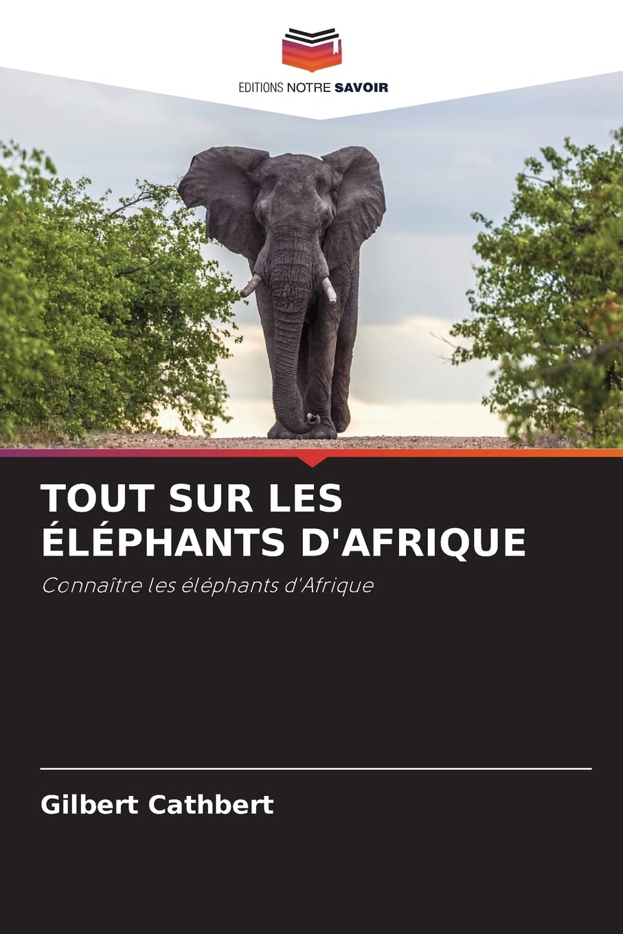 TOUT SUR LES ÉLÉPHANTS D'AFRIQUE: Connaître les éléphants d'Afrique book