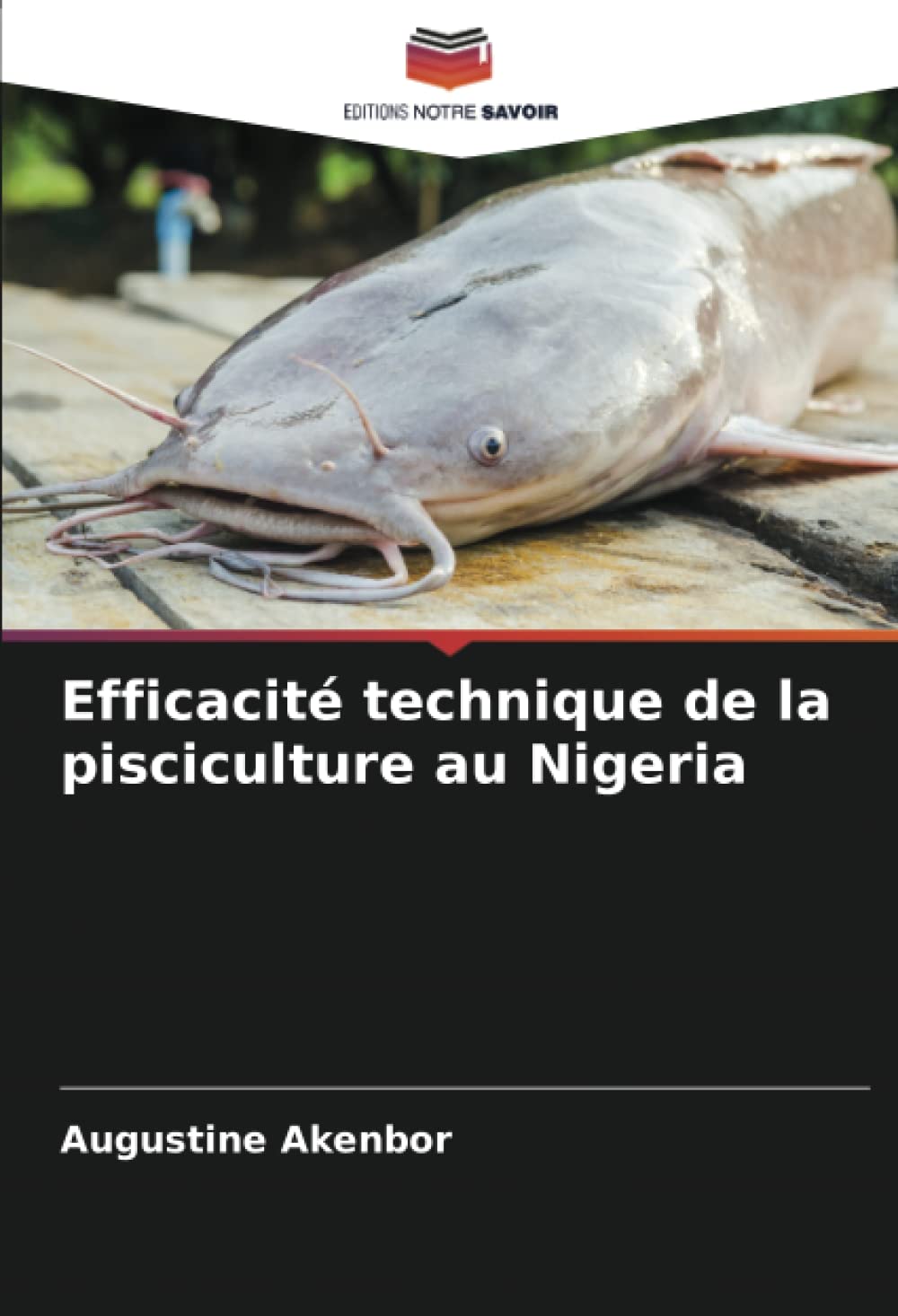 Efficacité technique de la pisciculture au Nigeria book