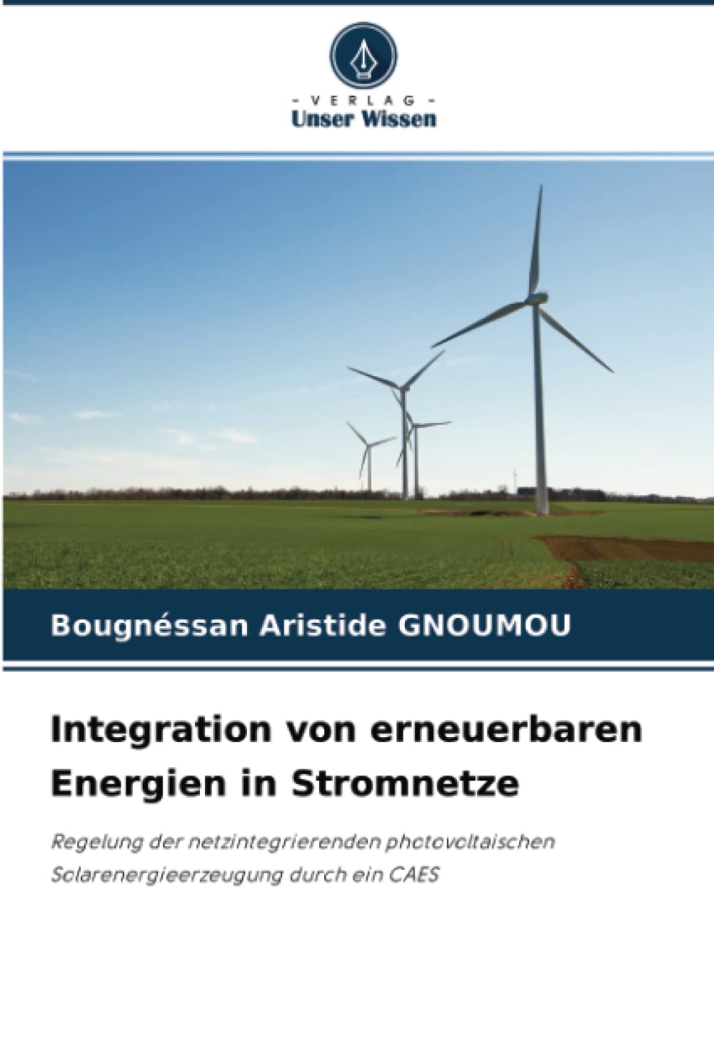 Integration von erneuerbaren Energien in Stromnetze: Regelung der netzintegrierenden photovoltaischen Solarenergieerzeugung durch ein CAES Business & Technology