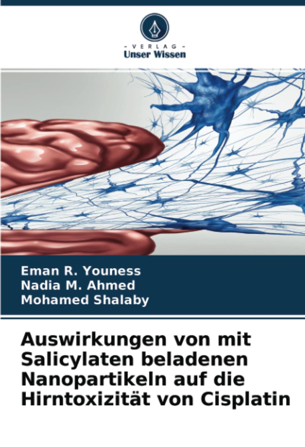 Auswirkungen von mit Salicylaten beladenen Nanopartikeln auf die Hirntoxizität von Cisplatin Law
