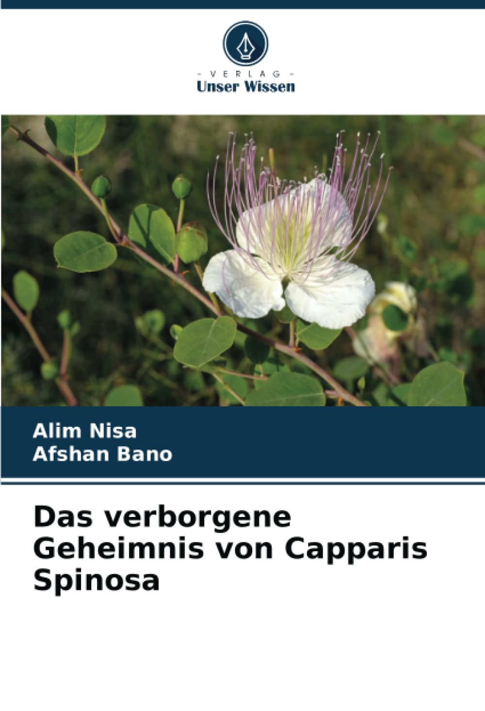 Das verborgene Geheimnis von Capparis Spinosa: DE Natural Sciences
