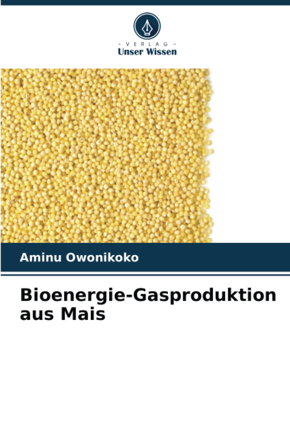 Bioenergie-Gasproduktion aus Mais: DE Business & Technology