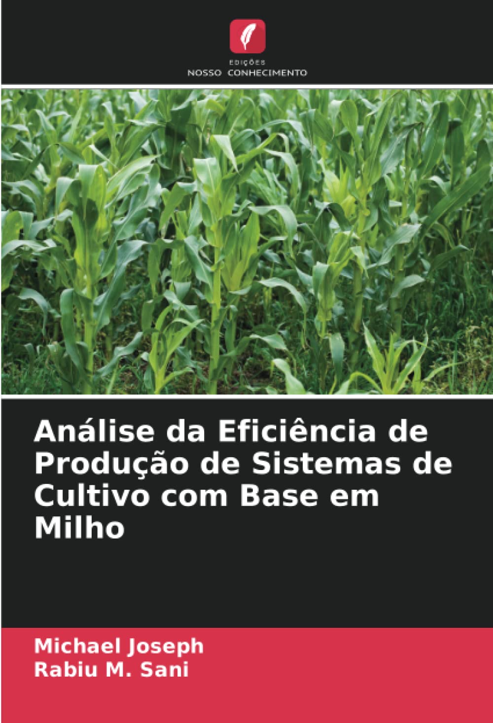 Análise da Eficiência de Produção de Sistemas de Cultivo com Base em Milho Natural Sciences