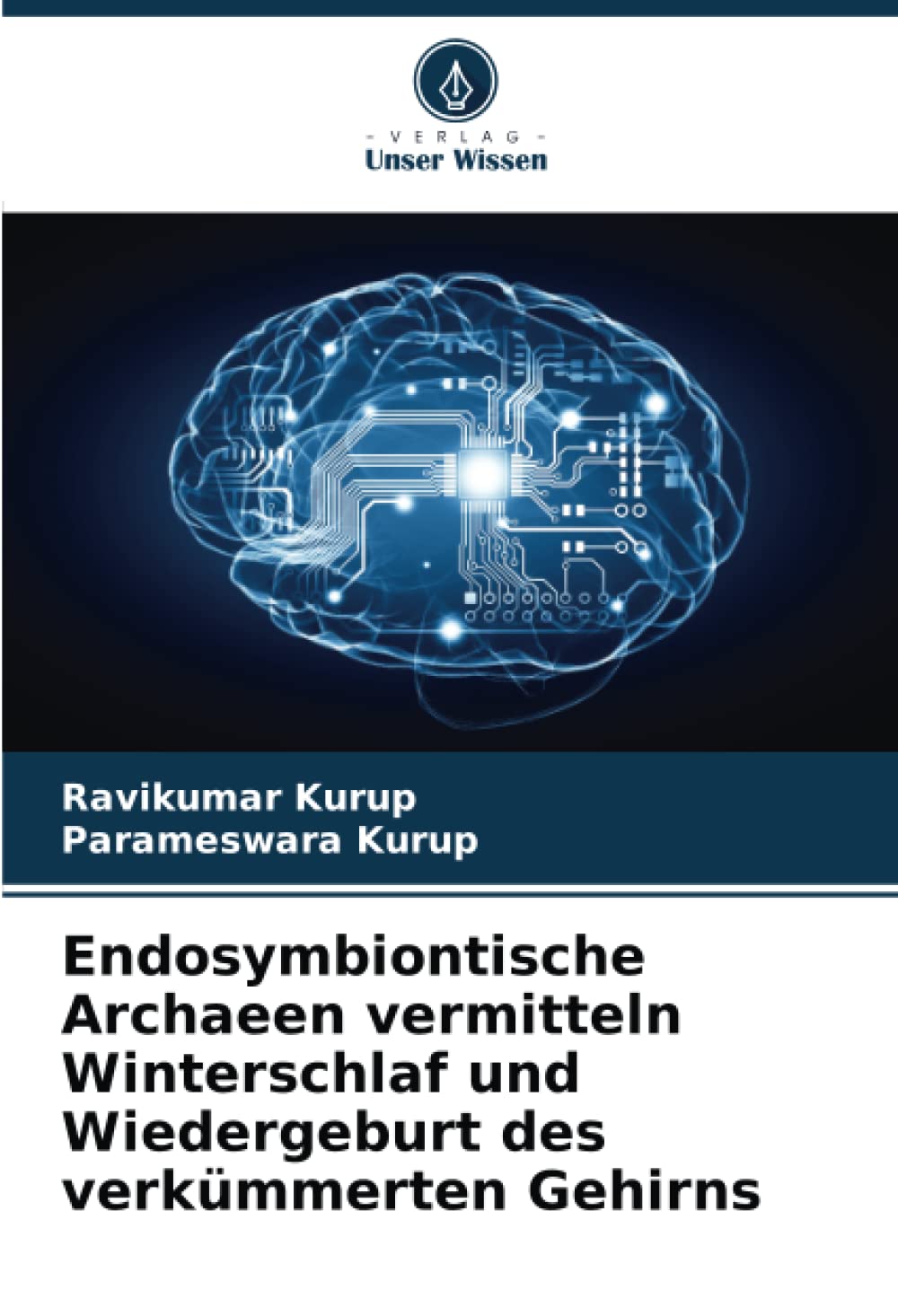 Endosymbiontische Archaeen vermitteln Winterschlaf und Wiedergeburt des verkümmerten Gehirns Business & Technology