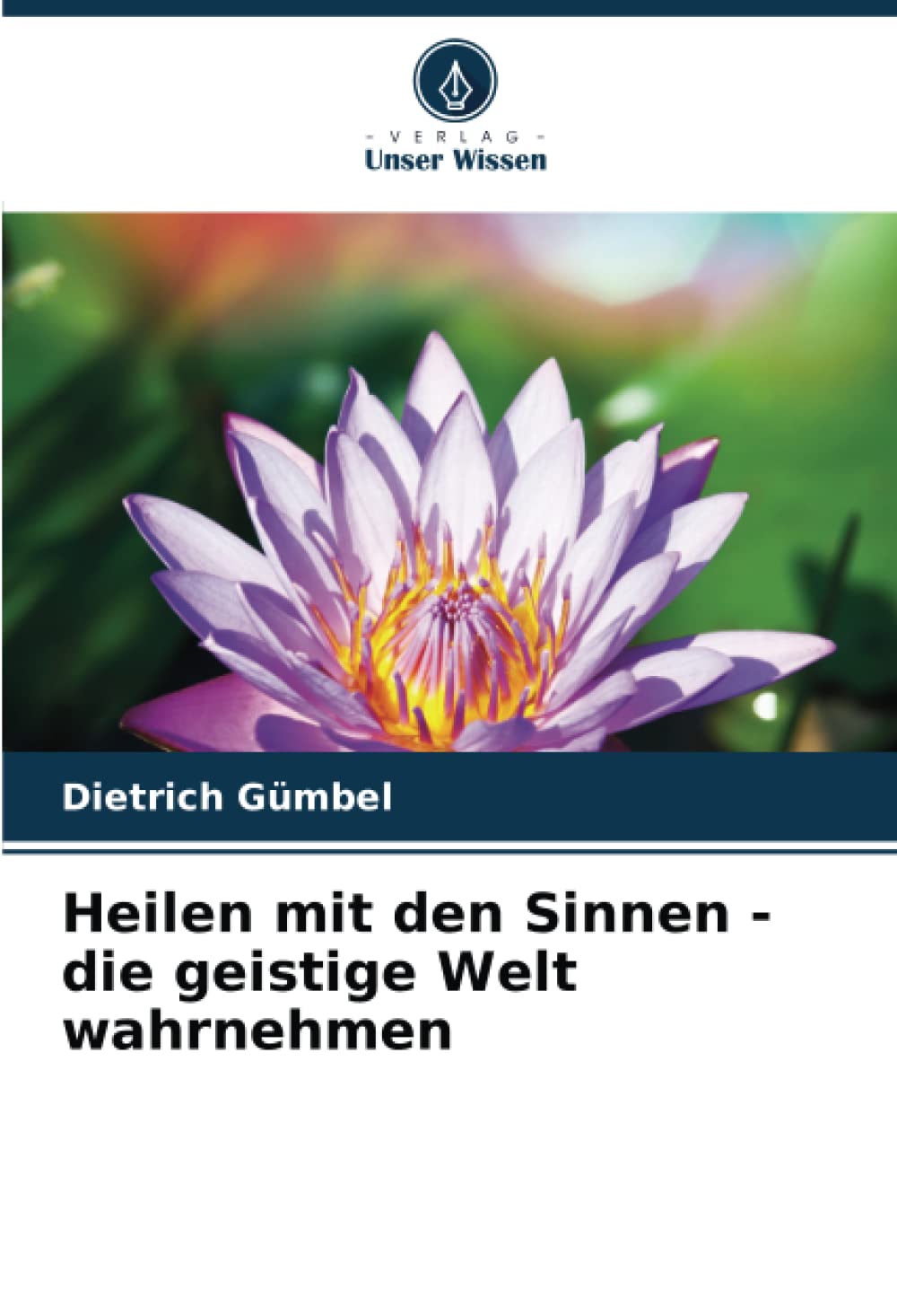 Heilen mit den Sinnen - die geistige Welt wahrnehmen Business & Technology