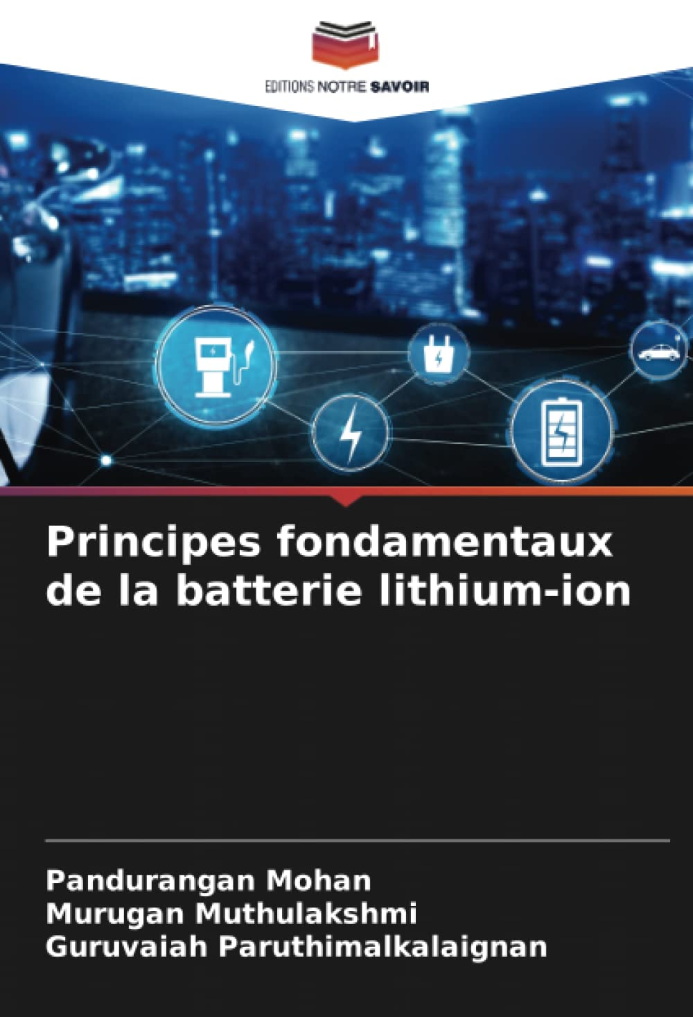 Principes fondamentaux de la batterie lithium-ion book