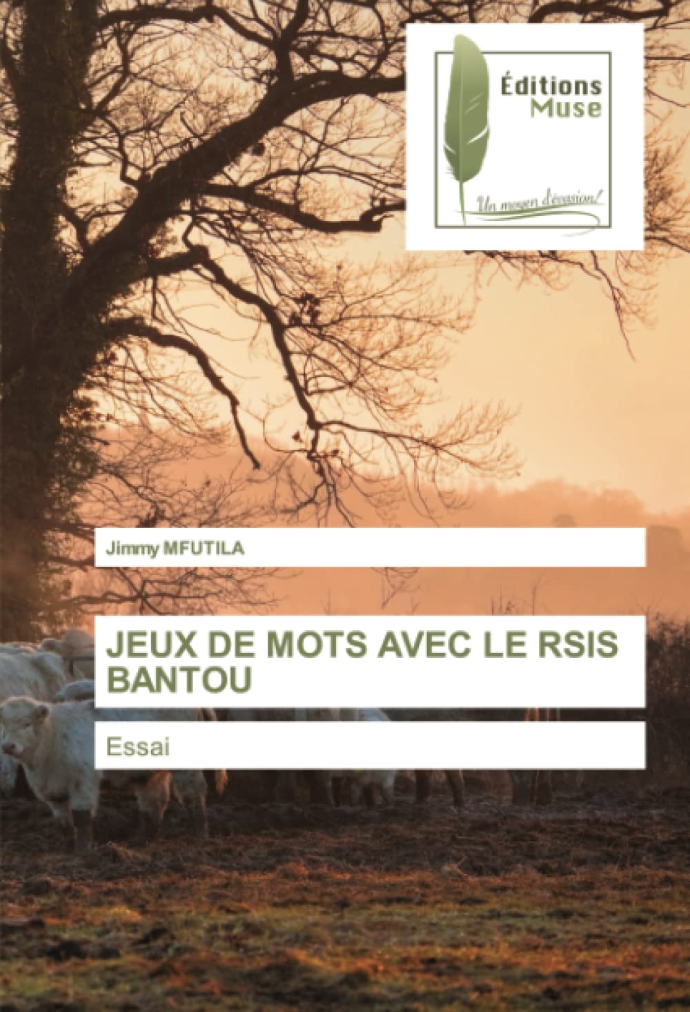 JEUX DE MOTS AVEC LE RSIS BANTOU: Essai book