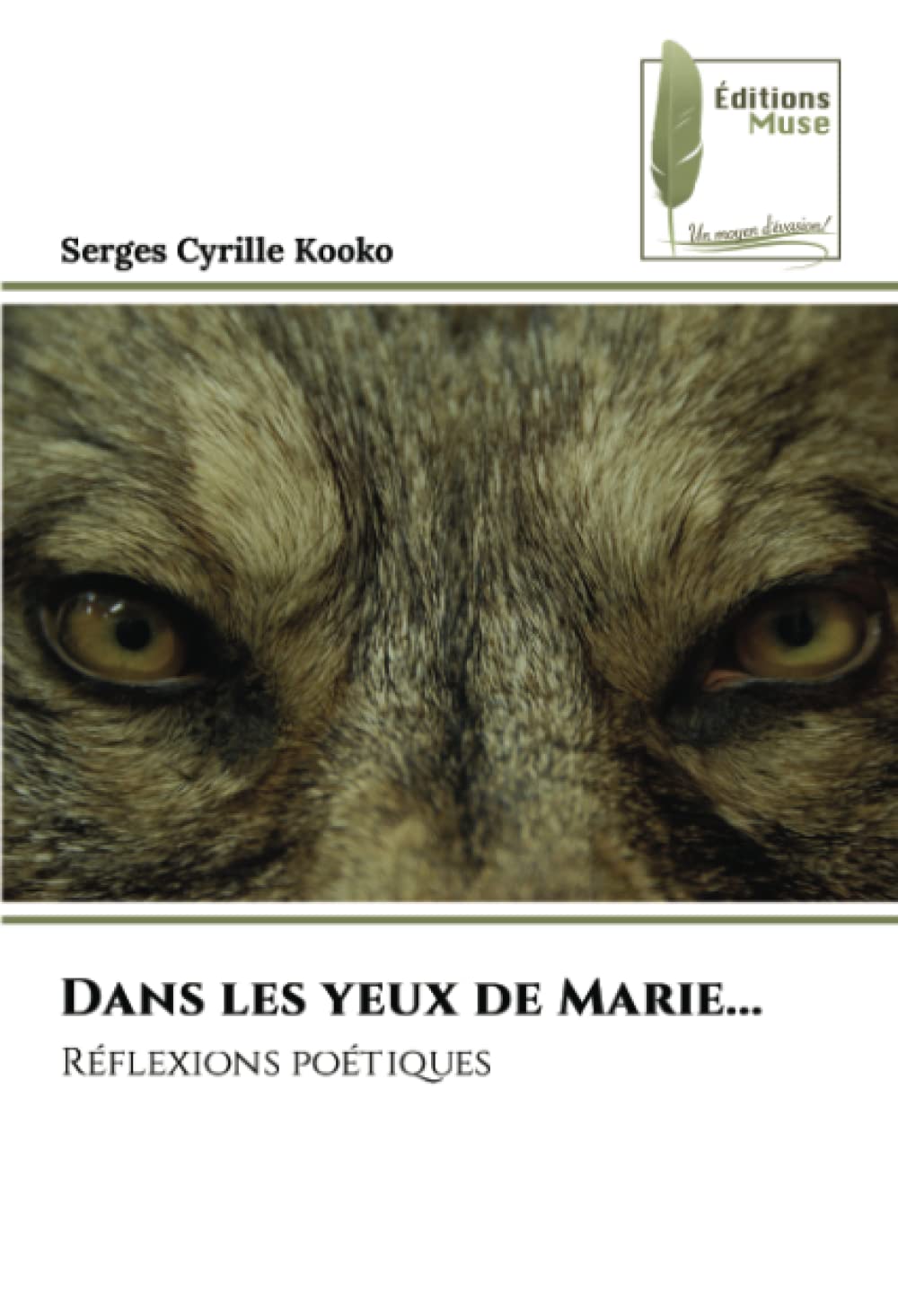 Dans les yeux de Marie...: Réflexions poétiques Contemporary literature