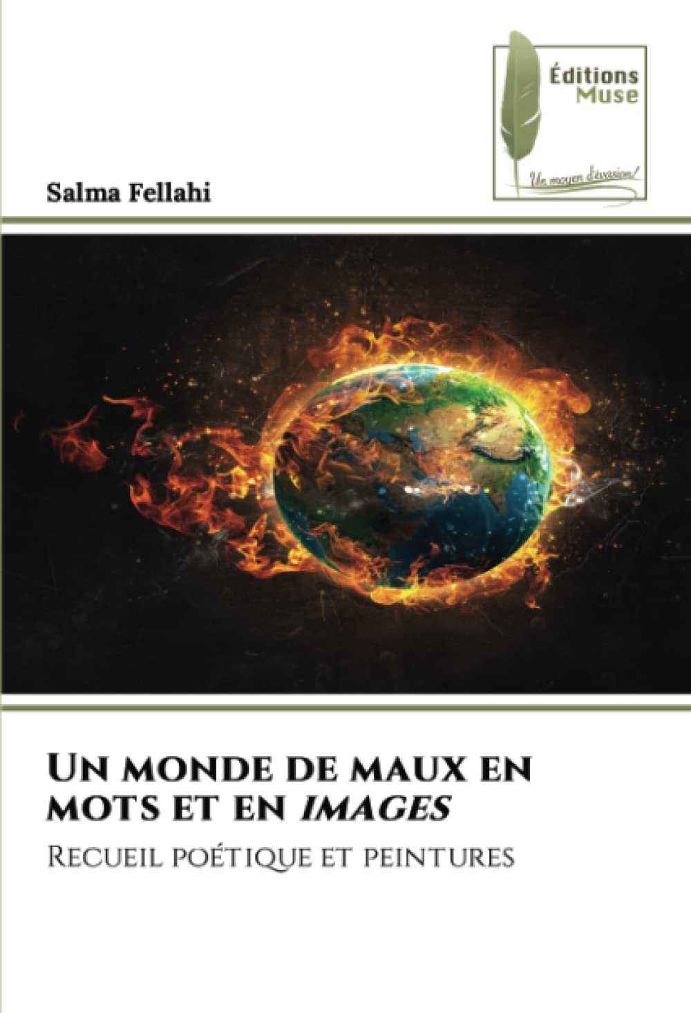 Un monde de maux en mots et en images: Recueil poétique et peintures book