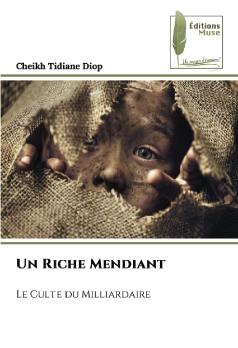 Un Riche Mendiant: Le Culte du Milliardaire book