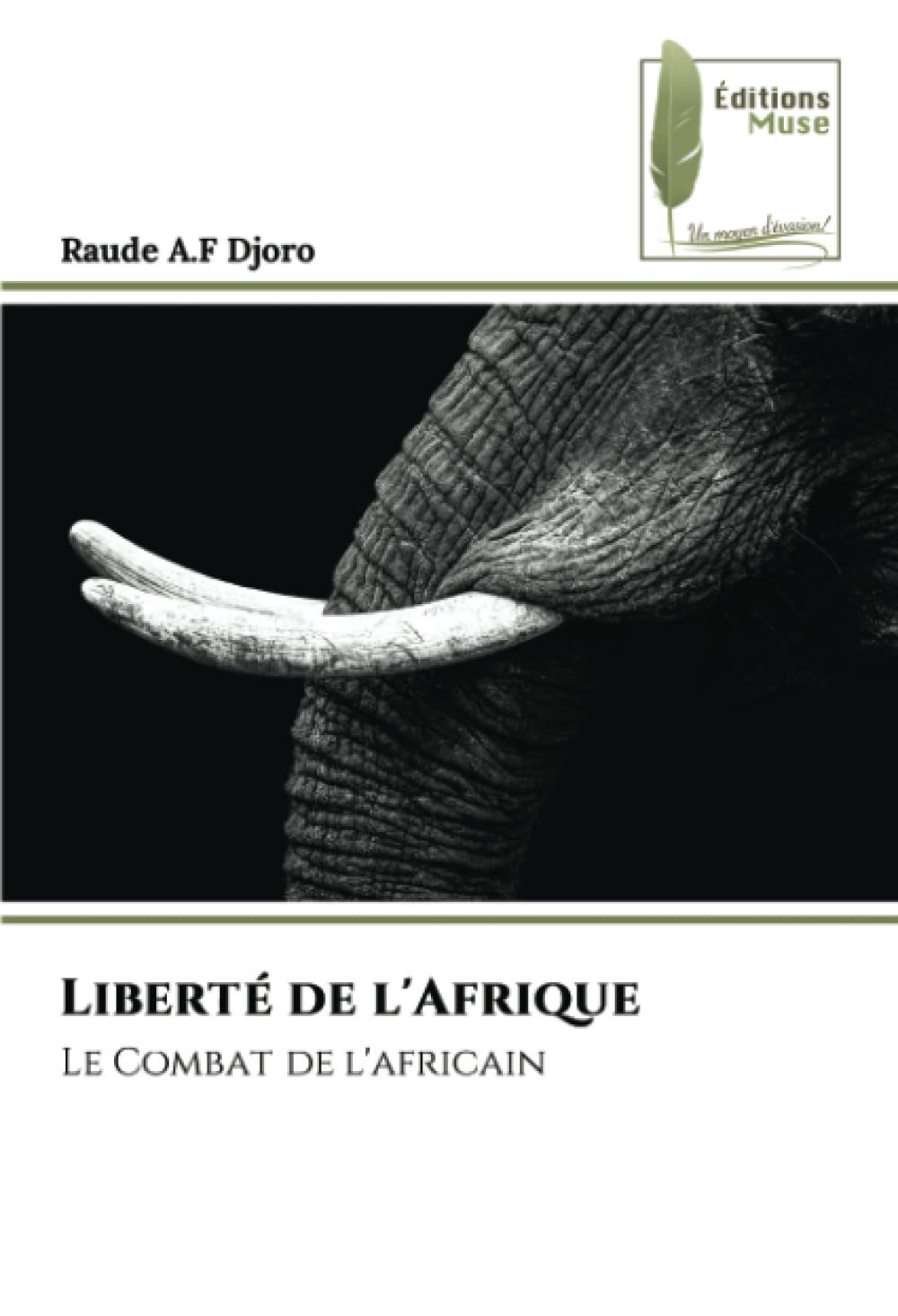 Liberté de l'Afrique: Le Combat de l'africain book