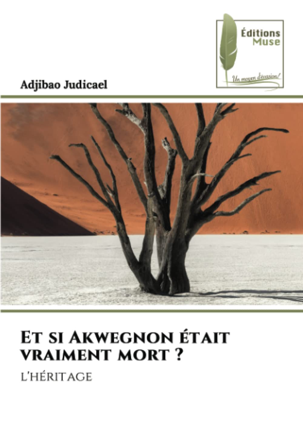Et si Akwegnon était vraiment mort ?: l'héritage book