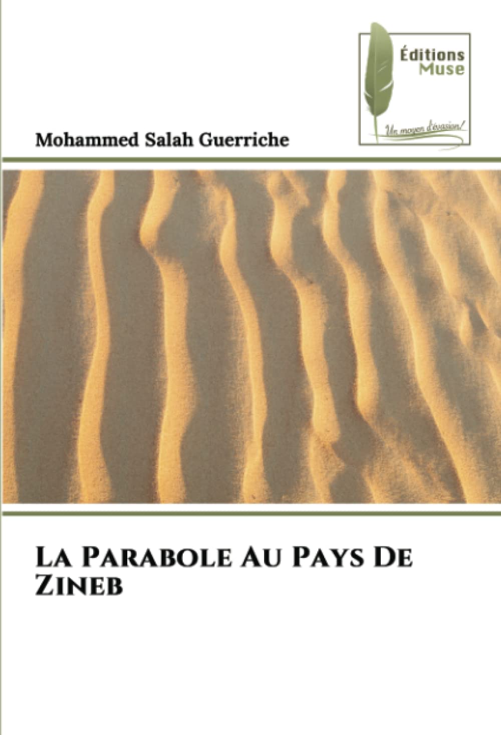 La Parabole Au Pays De Zineb book