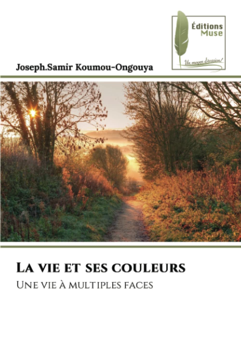 La vie et ses couleurs: Une vie à multiples faces book