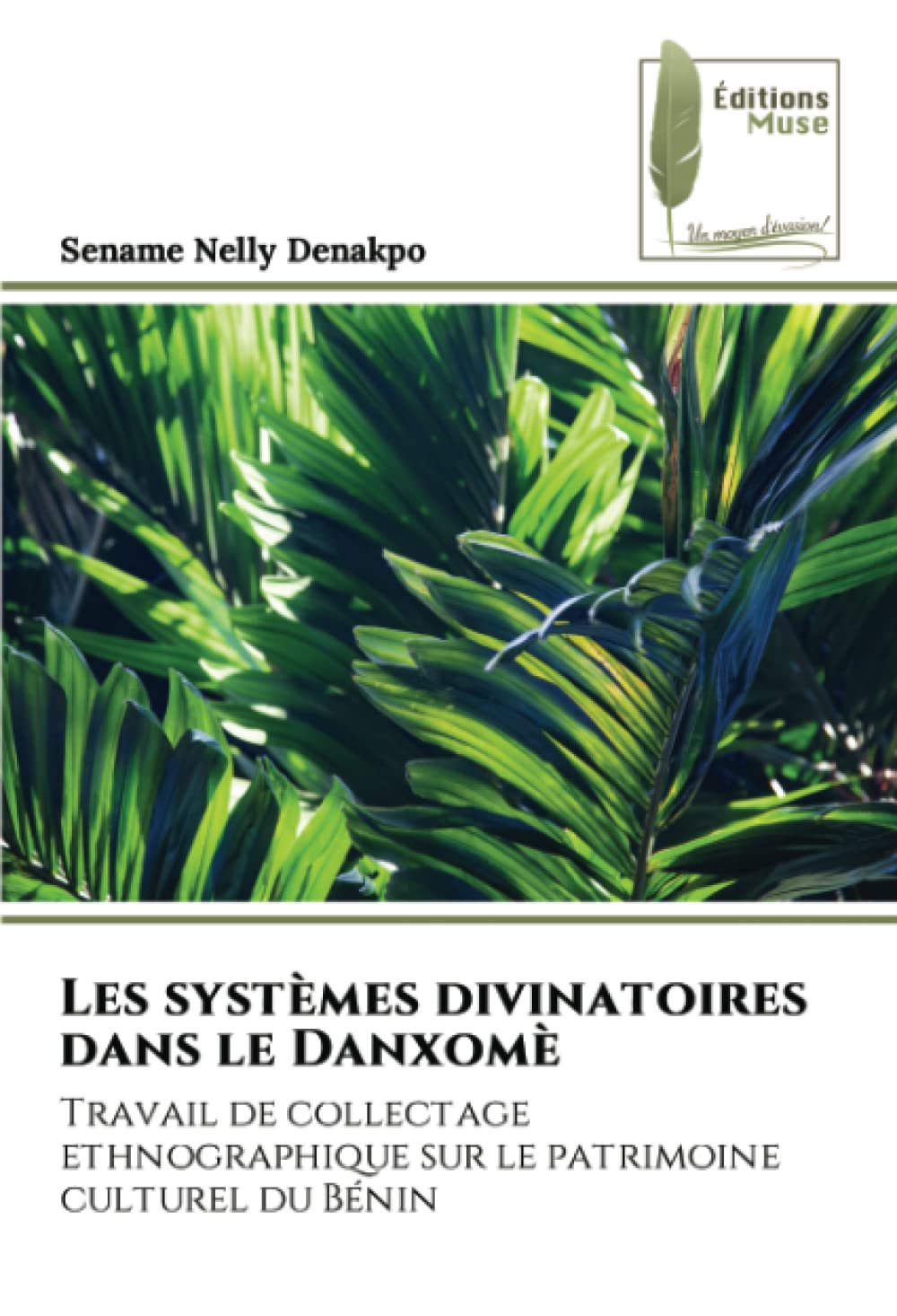Les systèmes divinatoires dans le Danxomè: Travail de collectage ethnographique sur le patrimoine culturel du Bénin book