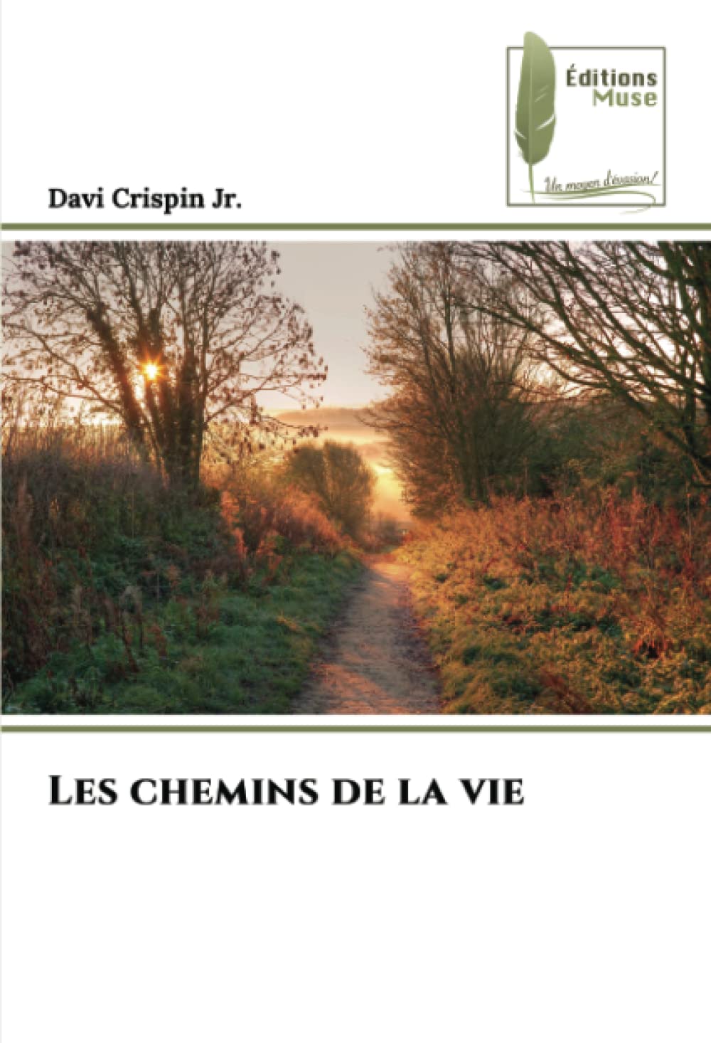 Les chemins de la vie book