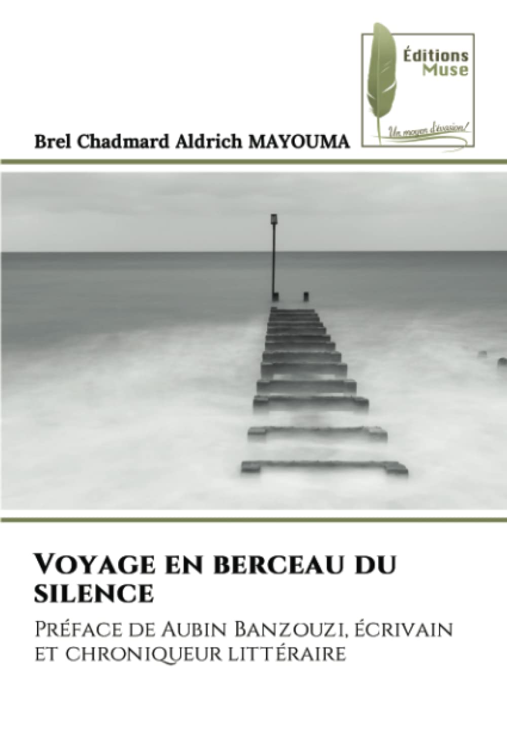 Voyage en berceau du silence: Préface de Aubin Banzouzi, écrivain et chroniqueur littéraire book