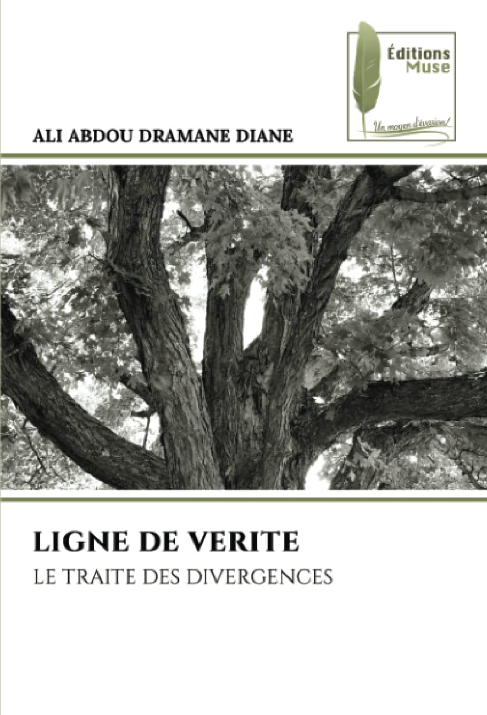 LIGNE DE VERITE: LE TRAITE DES DIVERGENCES book