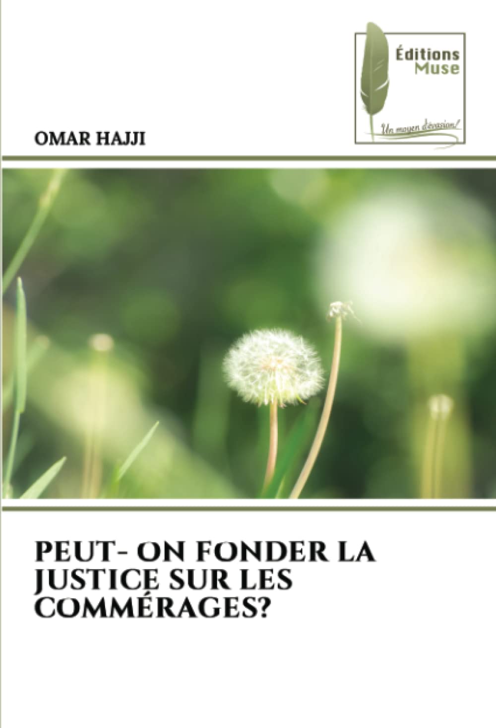 PEUT- ON FONDER LA JUSTICE SUR LES COMMÉRAGES? book