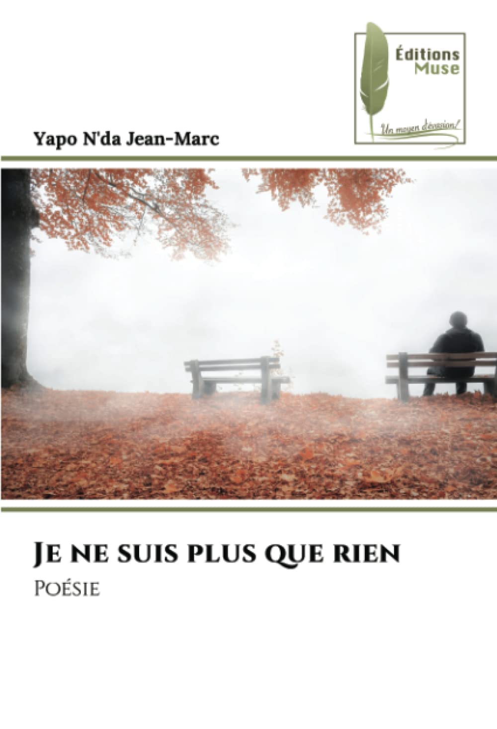 Je ne suis plus que rien: Poésie book